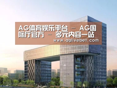 展示四